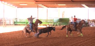 Breaking Down Heeling with Rene