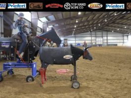 Teaching Heeling with Gabriel – Broken Down