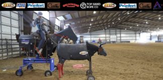 Teaching Heeling with Gabriel – Broken Down