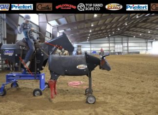 Teaching Heeling with Gabriel – Broken Down