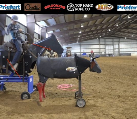 Teaching Heeling with Gabriel – Broken Down