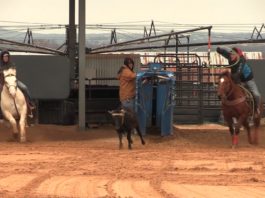 1 9 16 Coleman and Buddy