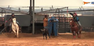 1 9 16 Coleman and Buddy