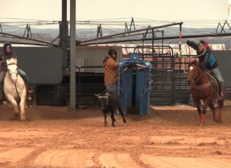 1 9 16 Coleman and Buddy