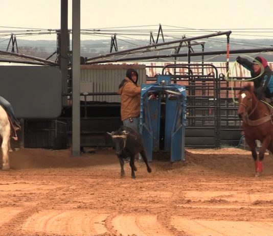 1 9 16 Coleman and Buddy