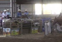 Jennifer’s Runs WSTR in Stephenville TX