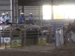 Jennifer’s Runs WSTR in Stephenville TX