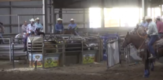 Jennifer’s Runs WSTR in Stephenville TX