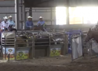 Jennifer’s Runs WSTR in Stephenville TX