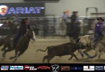 Speed and Terry WSTR 12