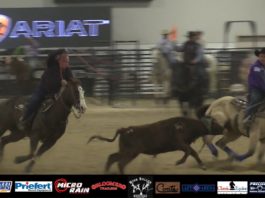 Speed and Terry WSTR 12