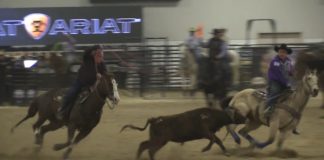 Speed and Terry WSTR 12