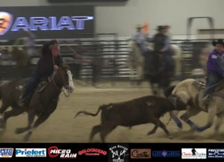 Speed and Terry WSTR 12