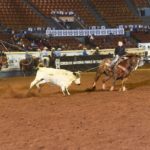 cfd4b4b6-583b-42ae-b027-17d30c45803d