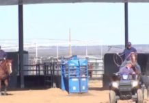 Getting Your Horse to Rate