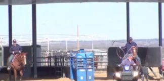 Getting Your Horse to Rate