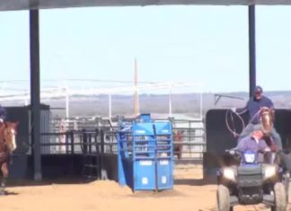 Getting Your Horse to Rate