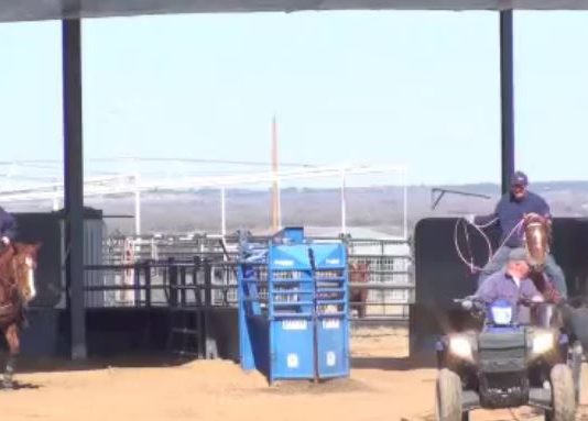 Getting Your Horse to Rate