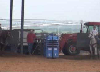 Heeling when to stop your Horse