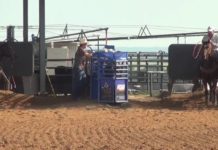 Speed on Heading How To Throw Fast