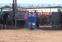 Charly and Shay Partial