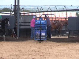 Charly and Shay Partial