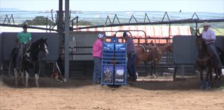 Charly and Shay Partial