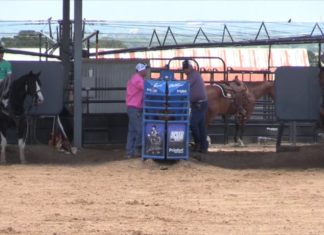 Charly and Shay Partial