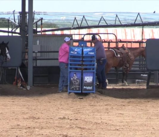 Charly and Shay Partial