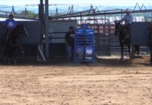 Jake Long Heeling on Iron Man Part 2- Partial