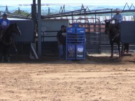 Jake Long Heeling on Iron Man Part 2- Partial