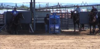 Jake Long Heeling on Iron Man Part 2- Partial