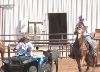 Speed on Buck Part 2 Partial