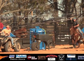 3 4 16 Highlights Of First Day in Center TX