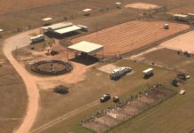 Speed Williams Place for Sale De Leon Tx