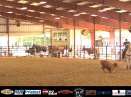 Header’s School 3rd Round