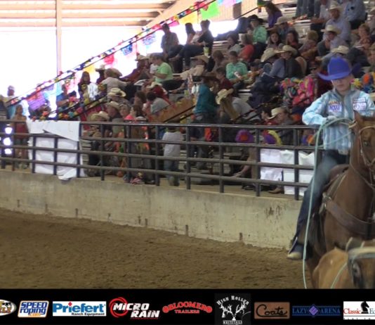 Hali First Steer at State Finals