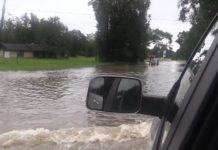 Orange is Under Water