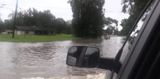 Orange is Under Water