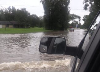 Orange is Under Water