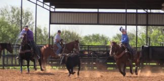 Brandon Webb 3 s Services Highlights and Bloopers