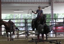 Reaching Part 1 Off Your Horse