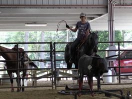 Reaching Part 1 Off Your Horse