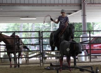 Reaching Part 1 Off Your Horse