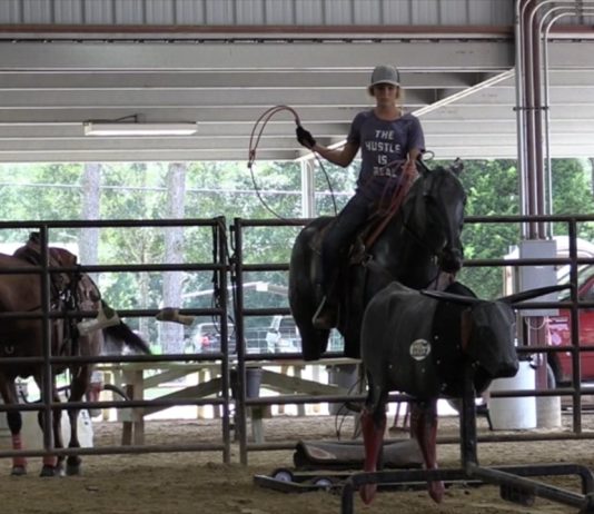 Reaching Part 1 Off Your Horse