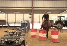 Reaching Off Your Horse – Part 3