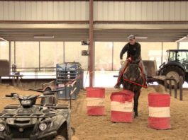 Reaching Off Your Horse – Part 3