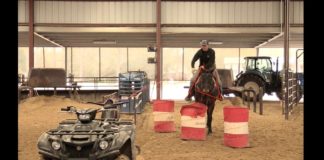 Reaching Off Your Horse – Part 3