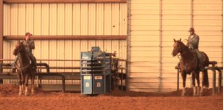 Shay Carroll and Cody Pearson – a Few Runs