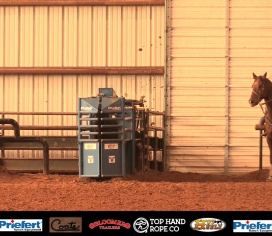 Shay Carroll and Cody Pearson – a Few Runs